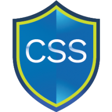 TD SYNNEX Public Sector's CSS badge icon