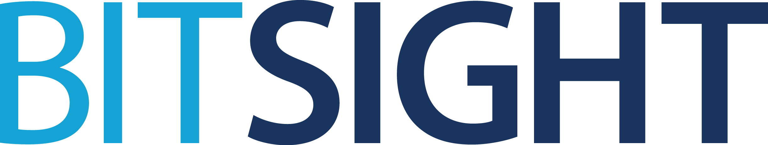 Logo for BitSight