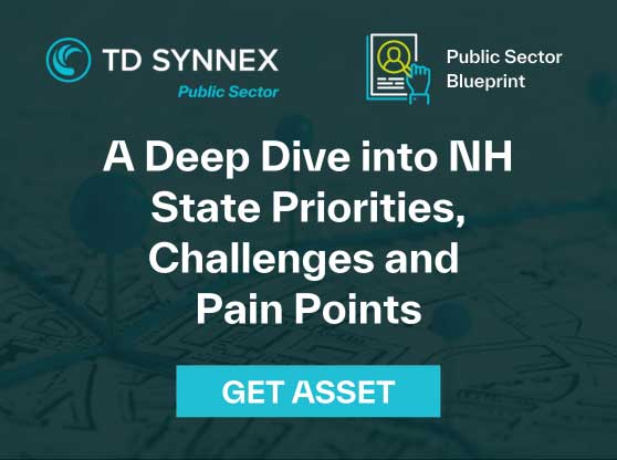 Text reads: Text reads: A Deep Dive Into New Hampshire State Priorities, Challenges, and Pain Points
