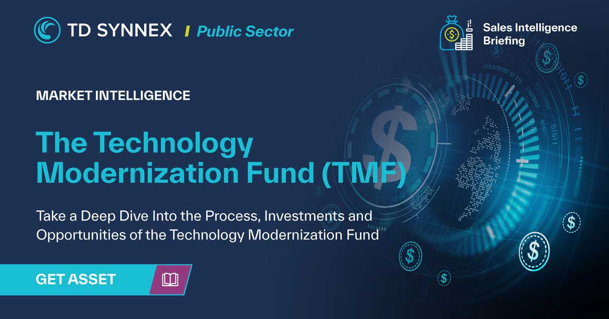Text reads: The Technology Modernization Fund