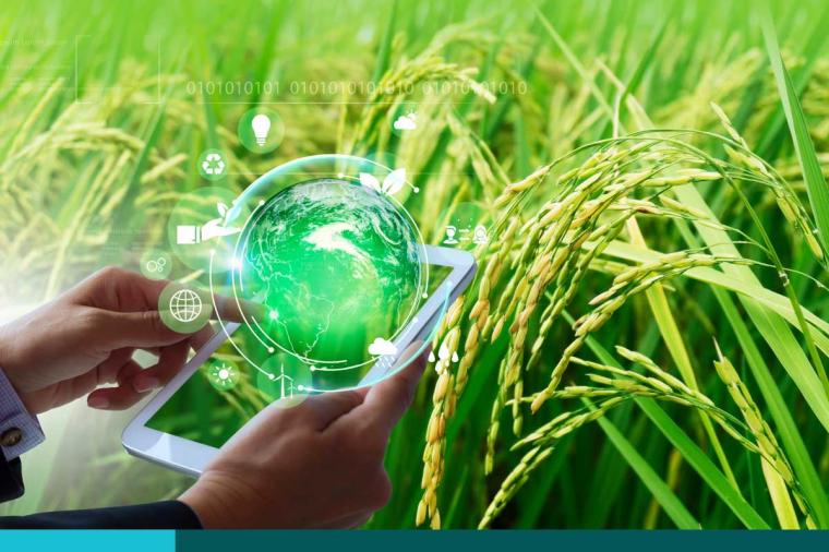 Man holding a tablet in front of field of grasses