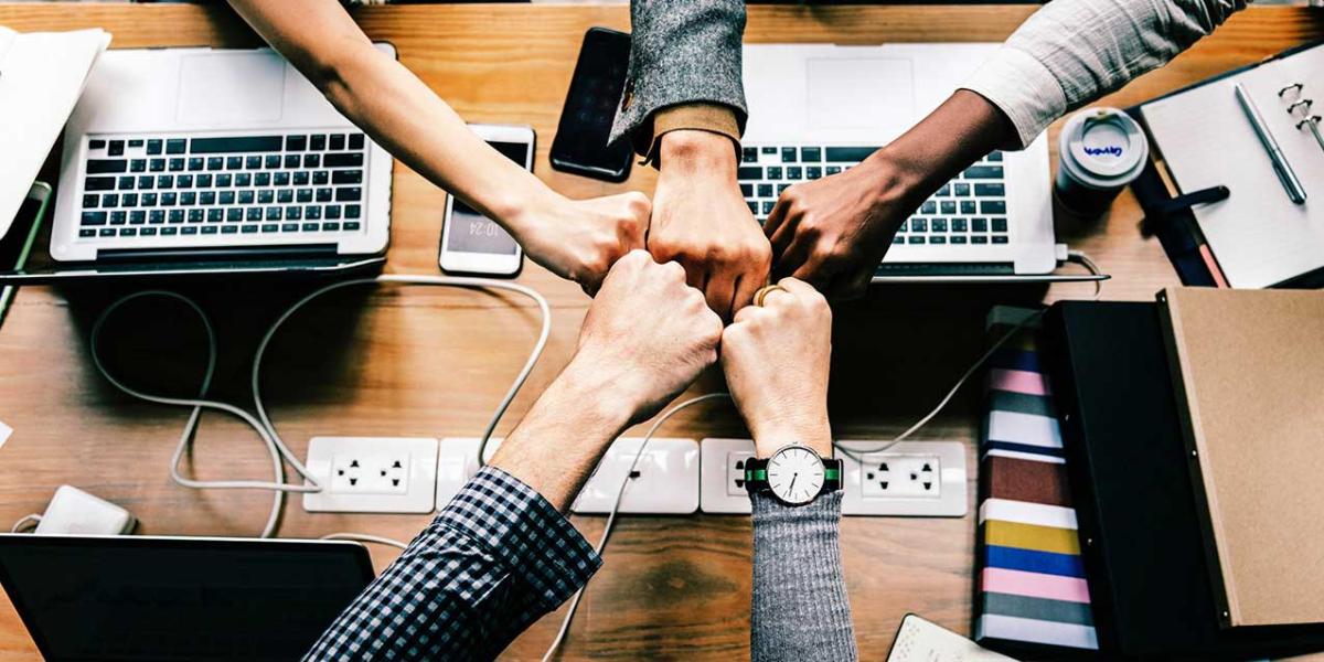 People fist-bumping over a conference room table